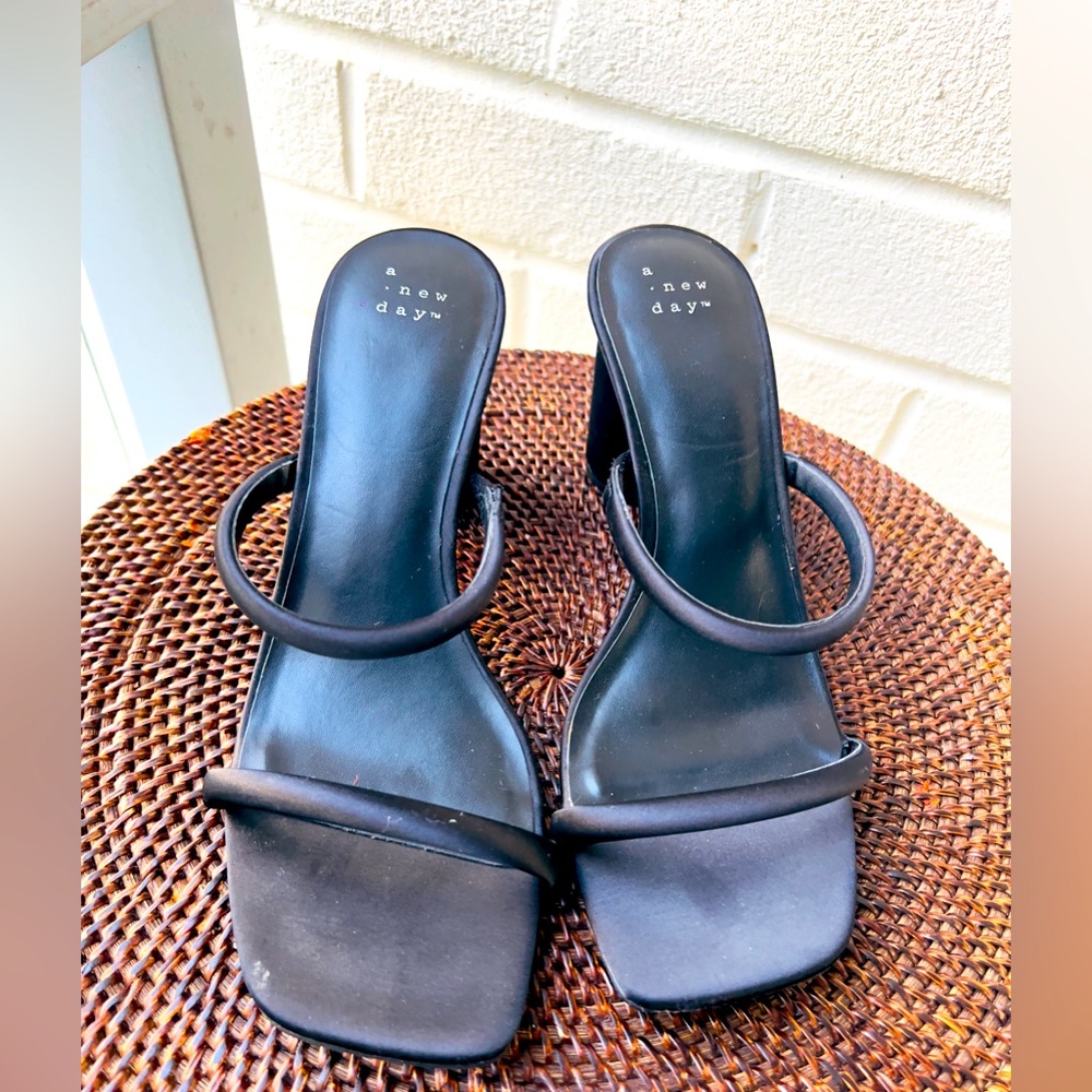 A New Day Stacy Mule
